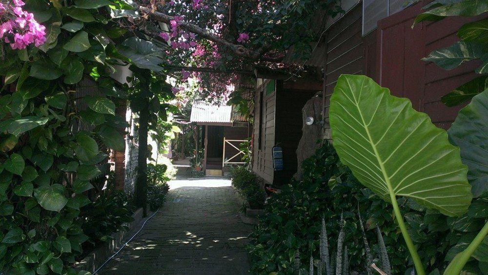 Ombak Inn Chalet Kampung Teluk Nipah Extérieur photo