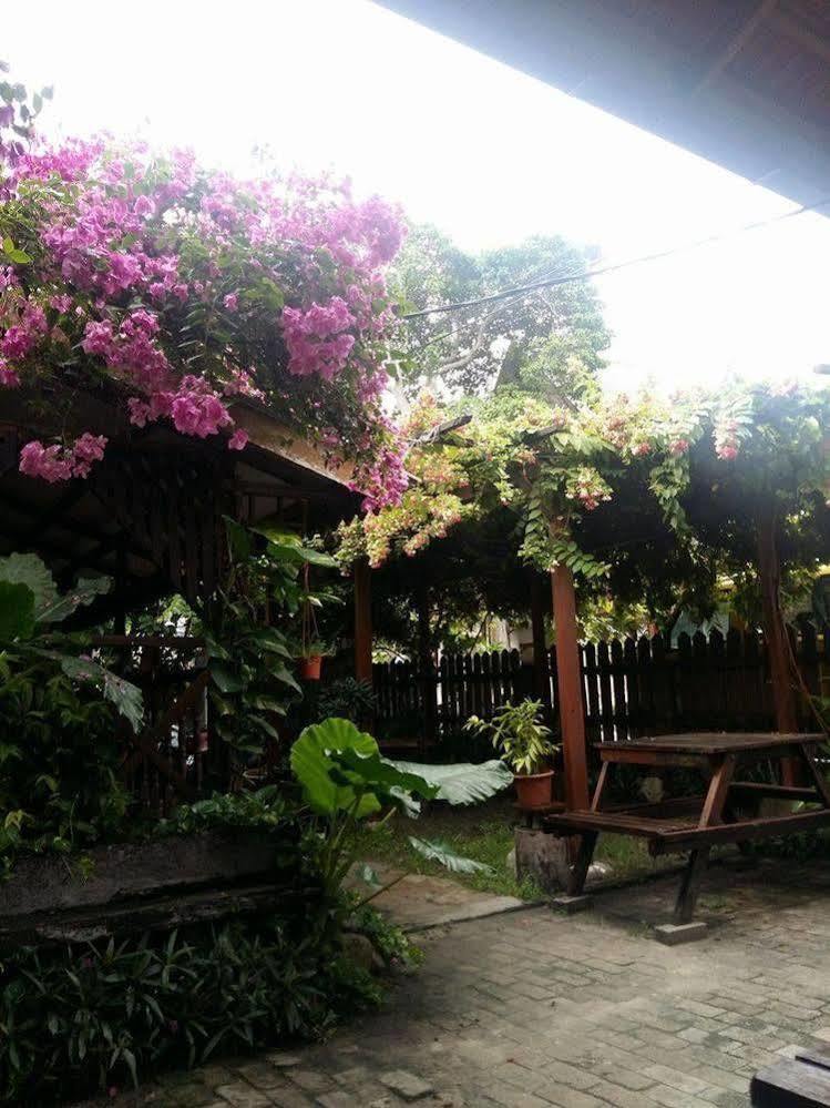 Ombak Inn Chalet Kampung Teluk Nipah Extérieur photo